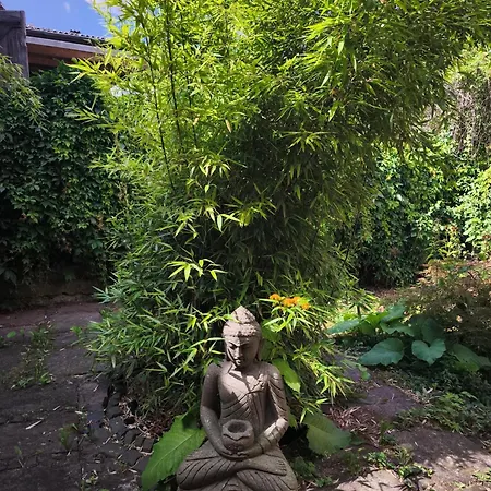 Einzimmer In Heckenbeck Lejlighed