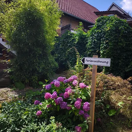 Einzimmer In Heckenbeck Lejlighed